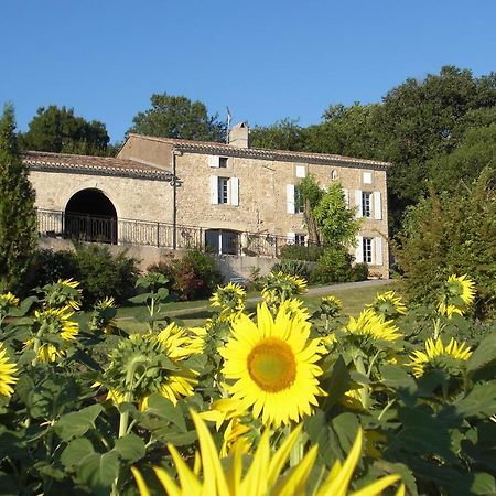 Chambres D'Hotes Domaine De La Capelle Saint-Martin-Lalande Zewnętrze zdjęcie