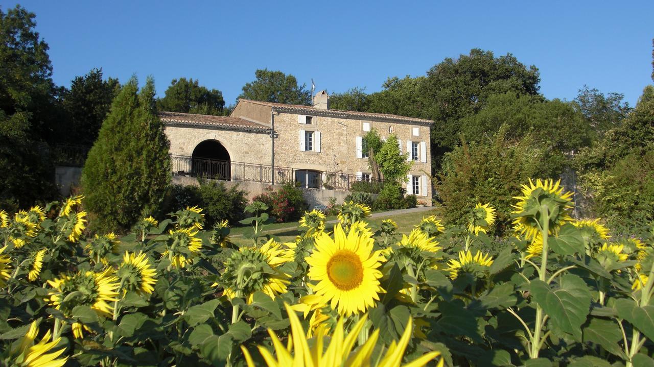 Chambres D'Hotes Domaine De La Capelle Saint-Martin-Lalande Zewnętrze zdjęcie